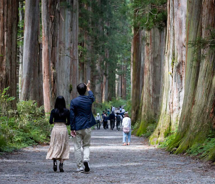 Togakushi Sightseeing Tour by Luxury Taxi
