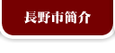 長野市簡介