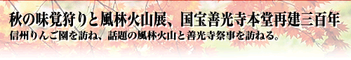 秋の味覚狩りと風林火山展、国宝善光寺本堂再建三百年
