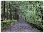 旧軽井沢 写真