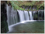 白糸の滝 写真