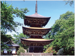 前山寺の三重塔 写真