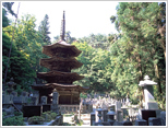 八角三重塔(安楽寺) 写真