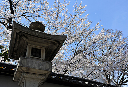 スライドイメージ