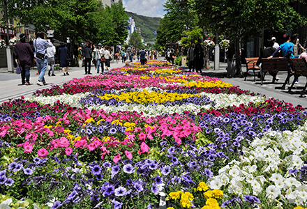 スライドイメージ