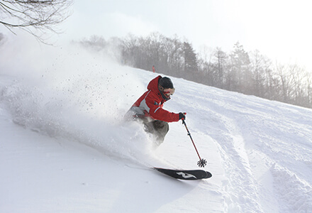 スライドイメージ