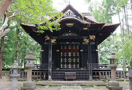 スライドイメージ