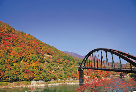 スライドイメージ