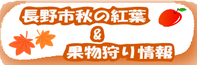 紅葉＆果物狩り