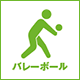 バレーボール