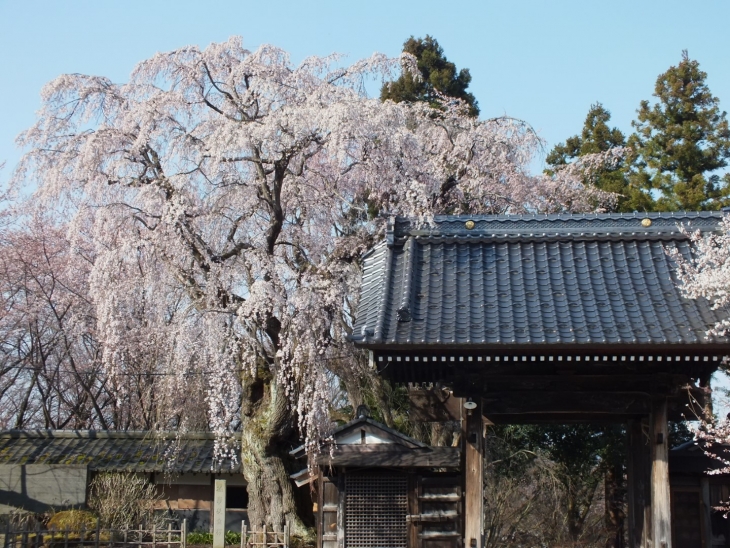 谷厳寺